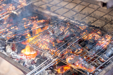 preparing barbeque during holiday on picnic on charcoal for family time and leisure time