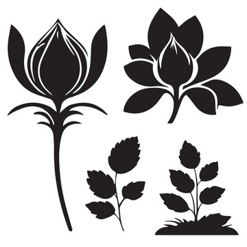 Saffron silhouettes and icons. Black flat color simple elegant white background Saffron vegetable vector and illustration.
