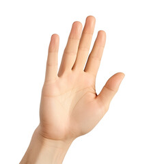 Expressive Hand Reaching Out with Palm Up Isolated on Transparent Background