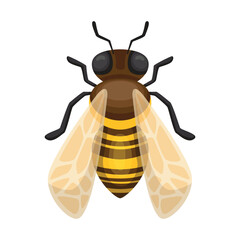 Illustration of bee. Bee icon design