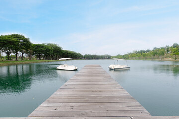 Naklejka premium View of the pond and wooden bridge.