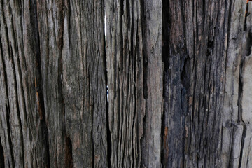 old wood grain texture background.
