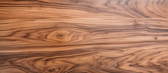 Texture of walnut wood