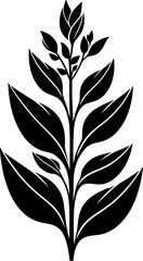 Commelinaceae plant icon 15