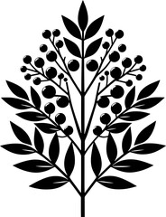 Combretaceae plant icon