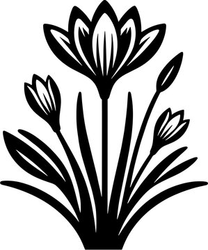 Colchicaceae plant icon 9