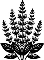 Clethraceae plant icon 9