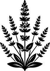 Clethraceae plant icon 12