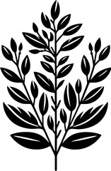 Clethraceae plant icon 11