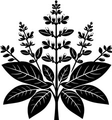 Clethraceae plant icon 7