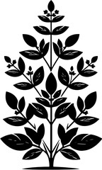 Clethraceae plant icon 2