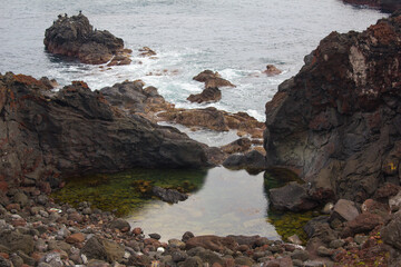 Jeju beach with basalt and rock walls.
