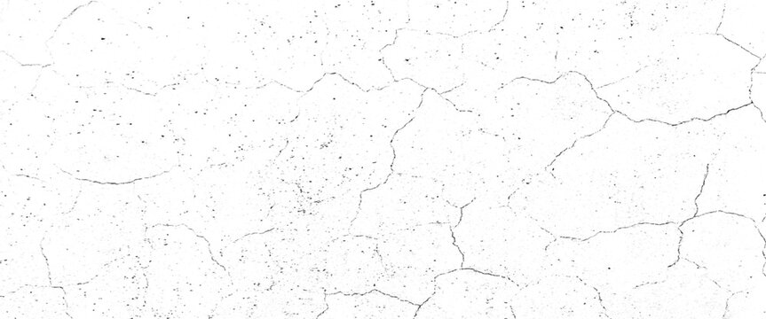 Vector grunge cracked texture Transparent background.