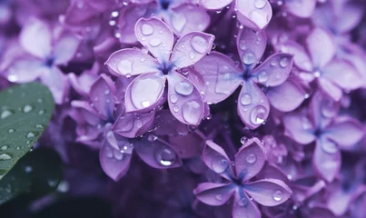 Gordijnen purple lilacs on top © olegganko