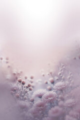 flower on soft pastel color in blur style
