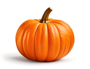 an orange pumpkin isolated on a white background