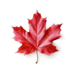 a red maple leaf on a white background