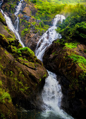 Dudhsagar Waterfall in a lush green forest, a cascading beauty on a mountain river.