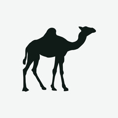 Vector camel silhouettes set illustration