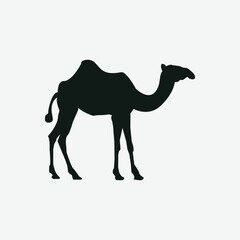 Vector camel silhouettes set illustration