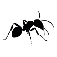 Ant vector black icon on white background