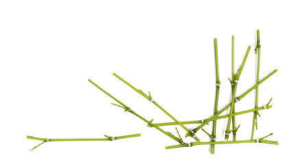 Frame green bamboo twigs, border sticks isolated on white background, top view