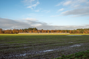 Train in a Dutch landscape
