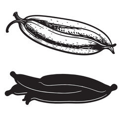 Green Bean silhouettes and icons. Black flat color simple elegant white background Green Bean vegetable vector and illustration.