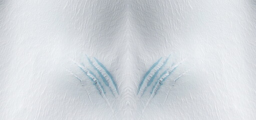 scratches,  abstract symmetrical photographs of the frozen regions of the earth from the air,...