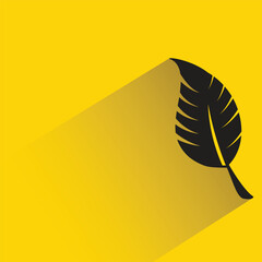 feather with shadow on yellow background
