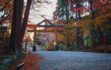 滋賀県大津市の日吉大社の山王鳥居と紅葉