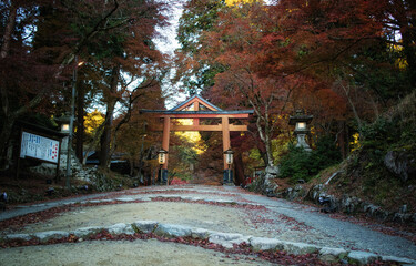 滋賀県大津市の日吉大社の山王鳥居と紅葉