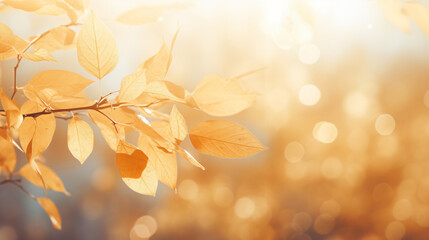 Abstract light autumn background