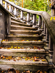 Stone stairs in the park in autumn. leaves on the stairs.
