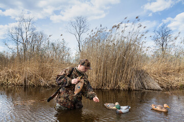A hunter waist deep in water sets up duck decoy on the lake