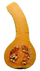 Butternut