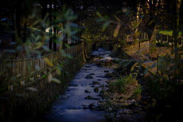 Rio pequeño en otoño