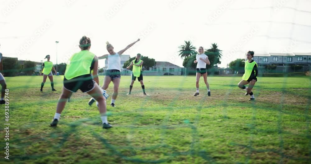 Poster Team, soccer and women score goal at field, exercise or workout in competition. Group, kick and girls play football on grass, game or sports training, celebrate and athlete at stadium match in summer