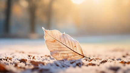 Close up of a frozen brown autumn leaf covered with rime in winter. Morning frost - Powered by Adobe