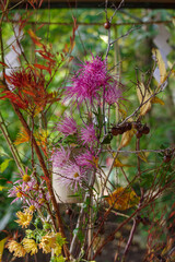 東京赤坂の氷川神社にある手水舎の生け花