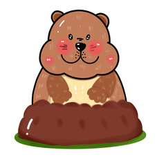 Groundhog