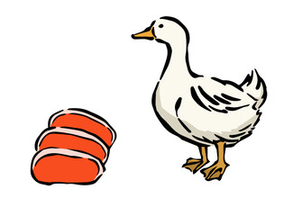 合鴨肉とアヒルのシンプルなイラスト