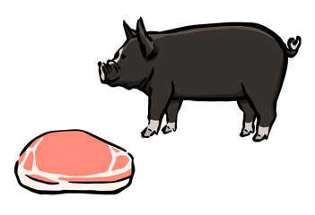 豚肉と黒豚のイラスト