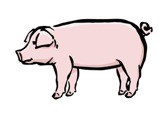 豚のシンプルなイラスト（ランドレース種）