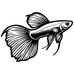Guppy Fish Sketch Drawing.