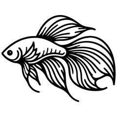 Guppy Fish Sketch Drawing.