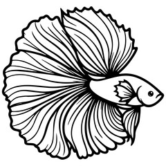 Betta Splendens Fish Sketch Drawing.