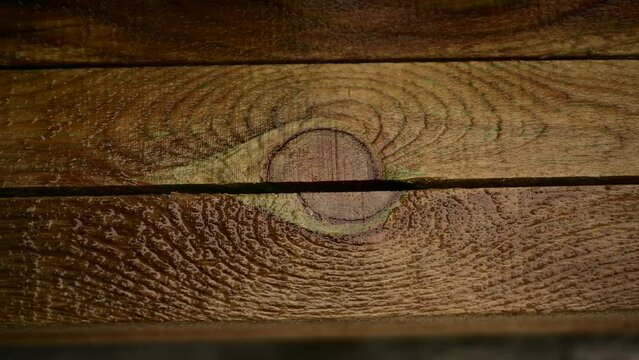 Wet wood timber texture