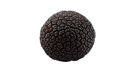 Black edible winter truffle isolated on transparent or white background.