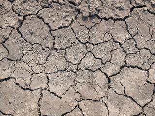 The ground is cracked. Indicating the change of seasons